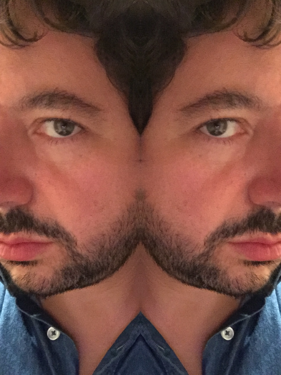 libreros galo ghigliotto